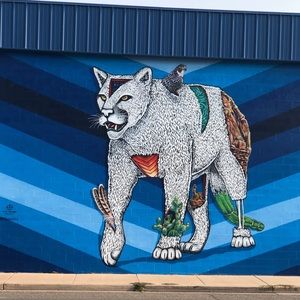 Meet your Posher, Aurora